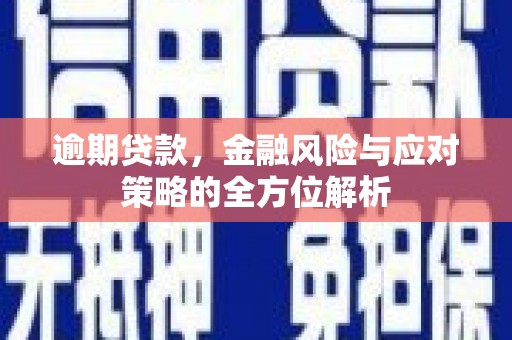 海安逾期贷款，金融风险与应对策略的全方位解析