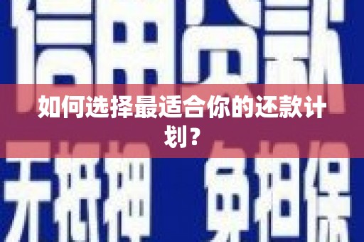 海安如何选择最适合你的还款计划？