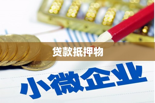 海安贷款抵押物