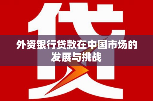 海安外资银行贷款在中国市场的发展与挑战
