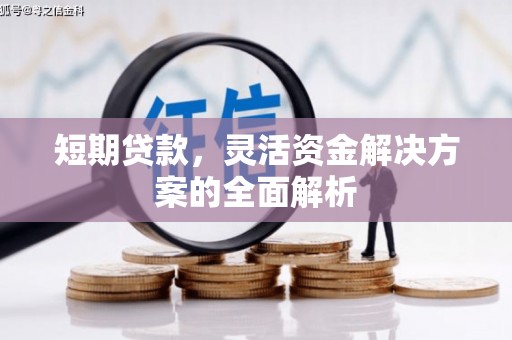 海安短期贷款，灵活资金解决方案的全面解析