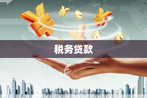 海安税务贷款