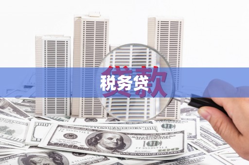 海安税务贷
