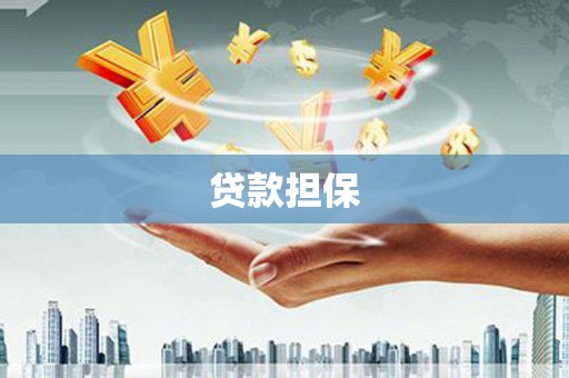 海安贷款担保