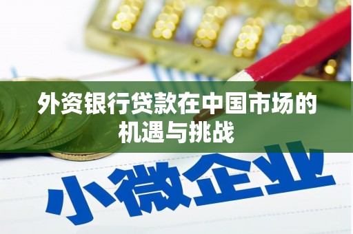 海安外资银行贷款在中国市场的机遇与挑战