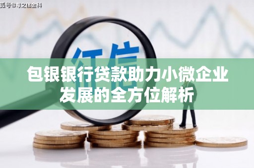 海安包银银行贷款助力小微企业发展的全方位解析