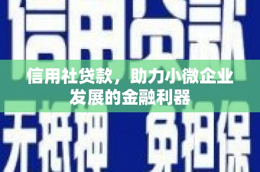 海安信用社贷款，助力小微企业发展的金融利器