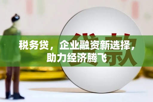 海安税务贷，企业融资新选择，助力经济腾飞