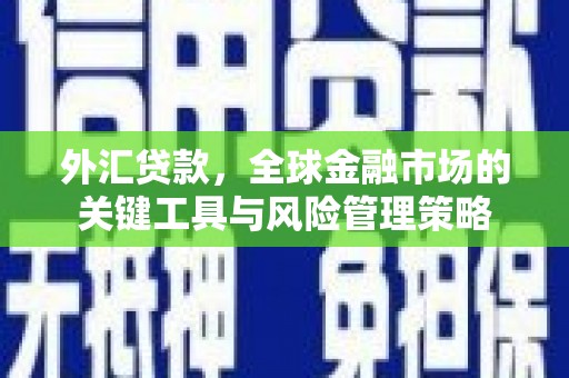 海安外汇贷款，全球金融市场的关键工具与风险管理策略