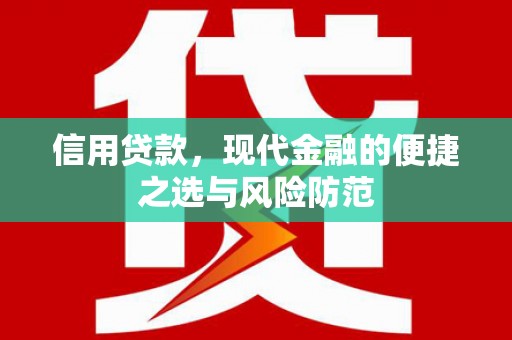 海安信用贷款，现代金融的便捷之选与风险防范