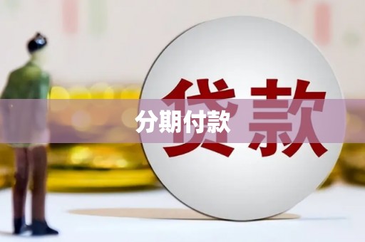 海安分期付款