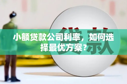 海安小额贷款公司利率，如何选择最优方案？