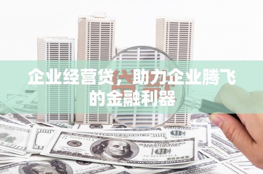 海安企业经营贷，助力企业腾飞的金融利器