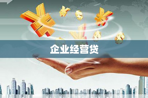 海安企业经营贷