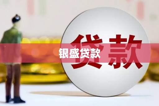 海安银盛贷款