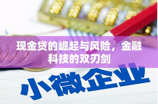 海安现金贷的崛起与风险，金融科技的双刃剑