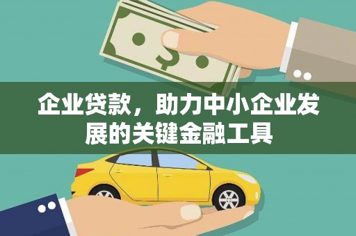 海安企业贷款，助力中小企业发展的关键金融工具