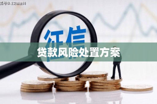 海安贷款风险处置方案