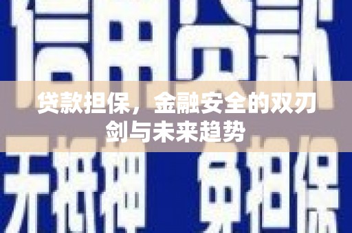 海安贷款担保，金融安全的双刃剑与未来趋势