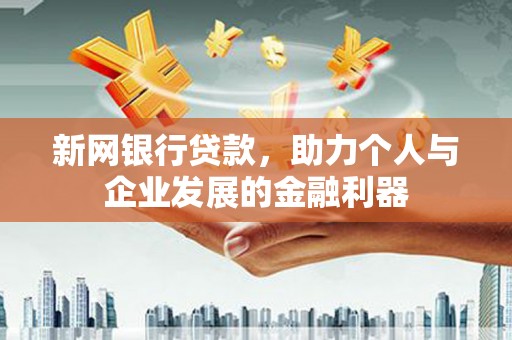 海安新网银行贷款，助力个人与企业发展的金融利器