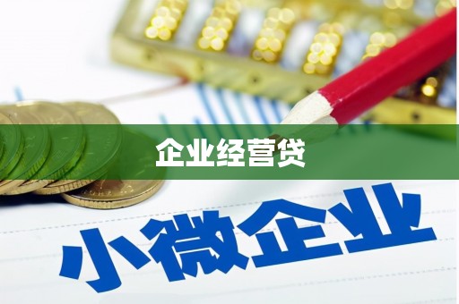 海安企业经营贷