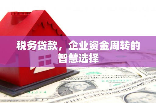 海安税务贷款，企业资金周转的智慧选择