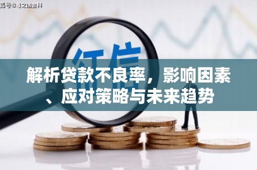 海安解析贷款不良率，影响因素、应对策略与未来趋势