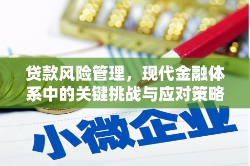 海安贷款风险管理，现代金融体系中的关键挑战与应对策略