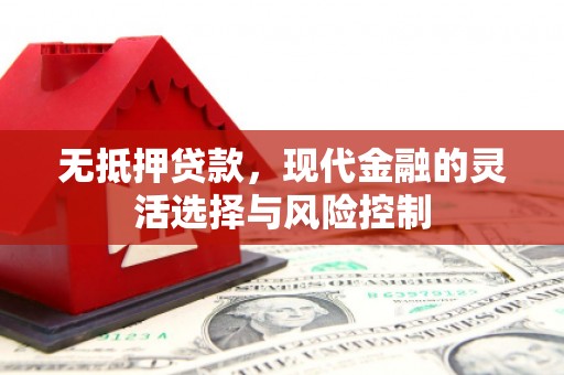 海安无抵押贷款，现代金融的灵活选择与风险控制