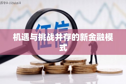 海安机遇与挑战并存的新金融模式