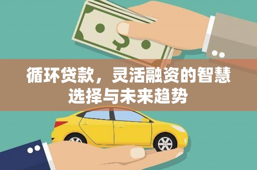 海安循环贷款，灵活融资的智慧选择与未来趋势