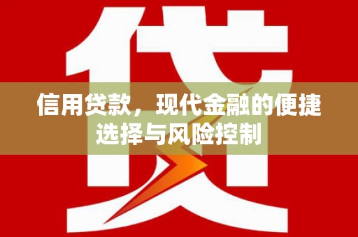 海安信用贷款，现代金融的便捷选择与风险控制