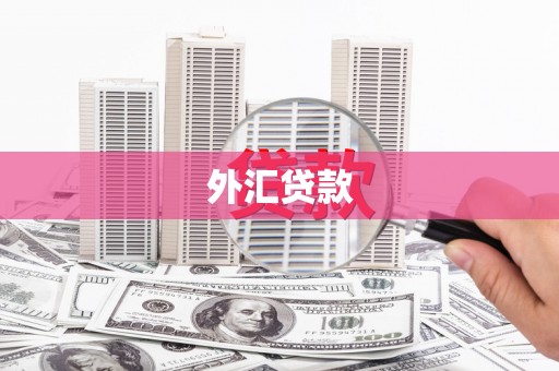 海安外汇贷款