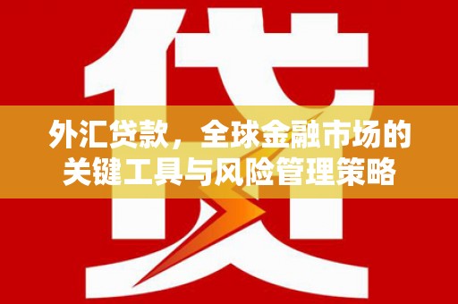 海安外汇贷款，全球金融市场的关键工具与风险管理策略