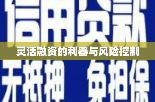 海安灵活融资的利器与风险控制