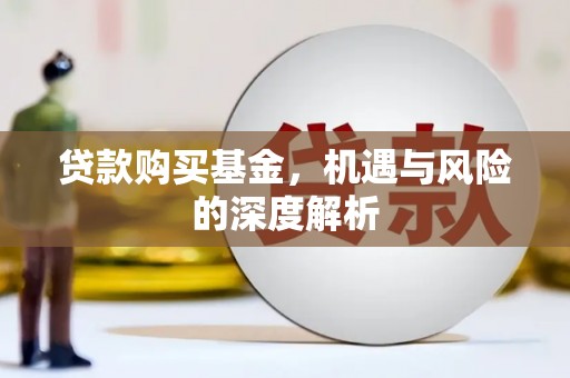 海安贷款购买基金，机遇与风险的深度解析