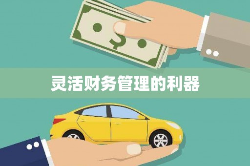 海安灵活财务管理的利器