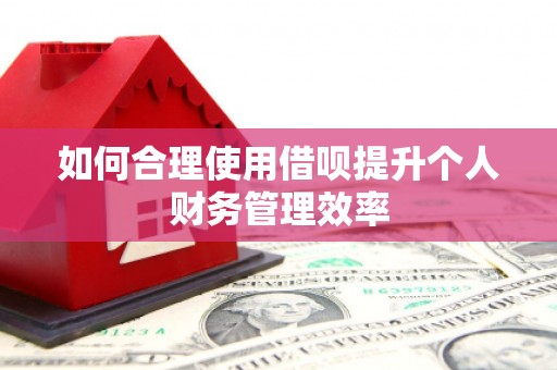 海安如何合理使用借呗提升个人财务管理效率