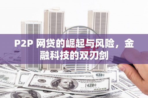 海安P2P 网贷的崛起与风险，金融科技的双刃剑