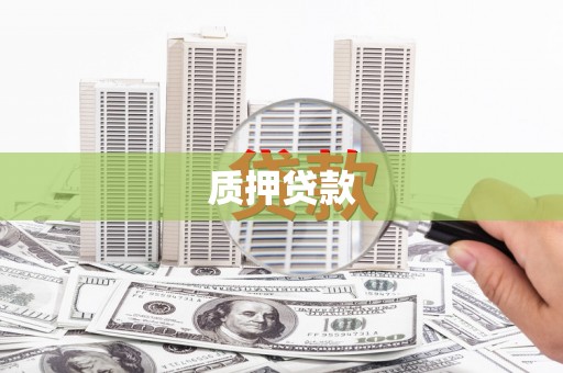 海安质押贷款