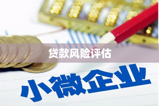 海安贷款风险评估