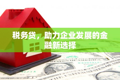 海安税务贷，助力企业发展的金融新选择