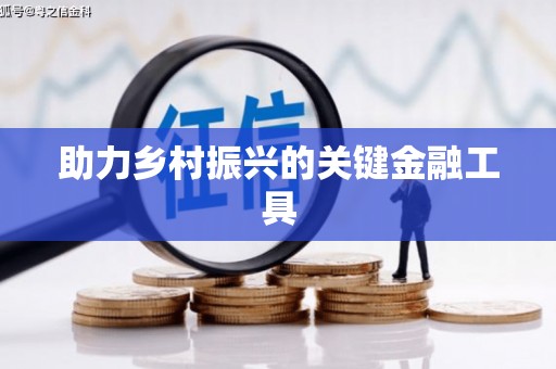 海安助力乡村振兴的关键金融工具