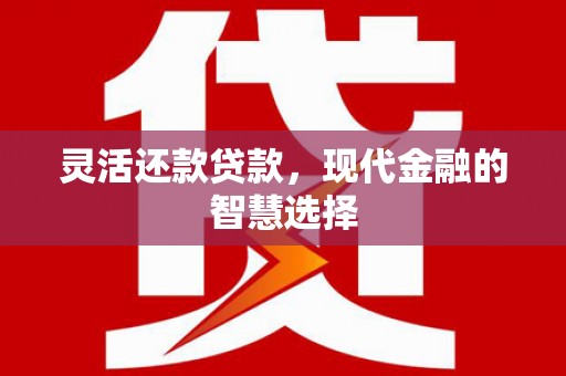 海安灵活还款贷款，现代金融的智慧选择