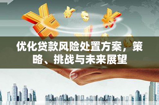 海安优化贷款风险处置方案，策略、挑战与未来展望
