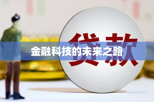海安金融科技的未来之路