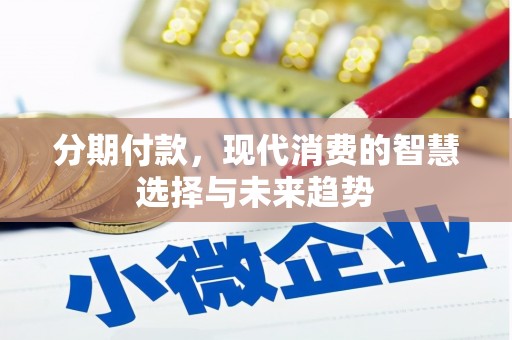 海安分期付款，现代消费的智慧选择与未来趋势