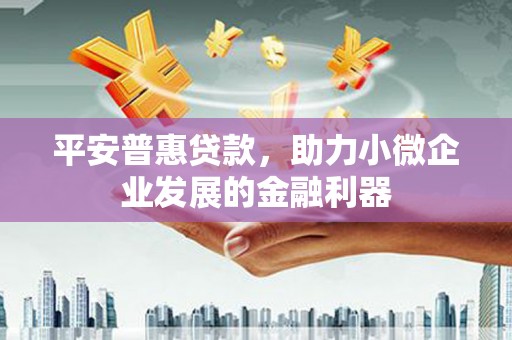 海安平安普惠贷款，助力小微企业发展的金融利器