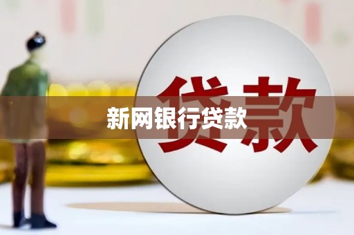 海安新网银行贷款