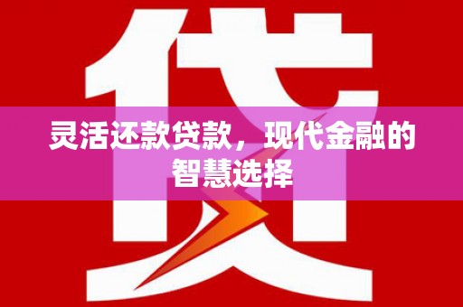 海安灵活还款贷款，现代金融的智慧选择
